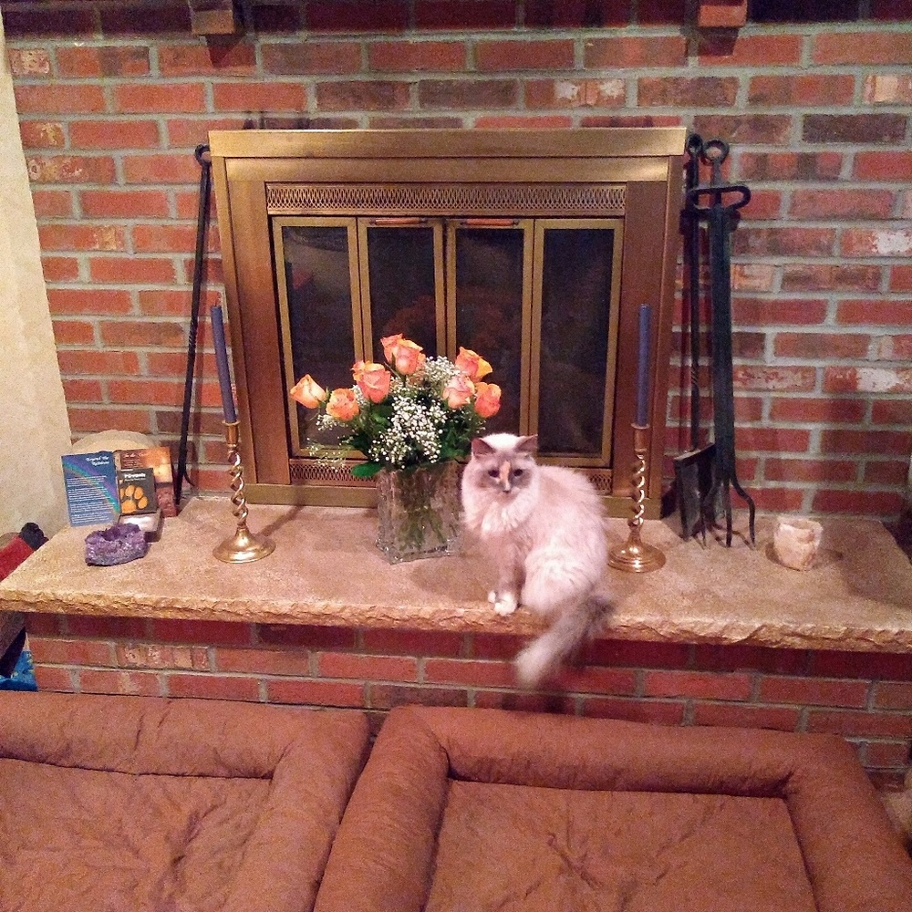 Meet your Posher, Sonja